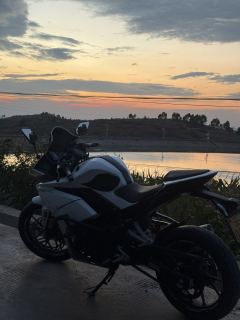 Kayo 250RR Thornbird - ფოტო 4