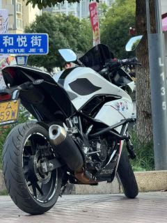 Kayo 250RR Thornbird - ფოტო 6