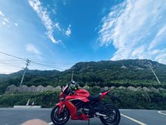 QJMOTOR Sai 600 - ფოტო 3