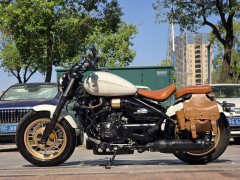 Cyclone RA600 560 cc - фото 3