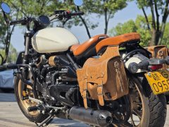 Cyclone RA600 560 cc - фото 6