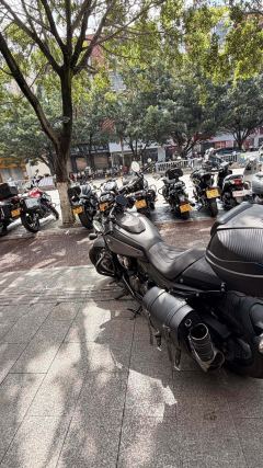 QJMOTOR Shan 600 560 cc - фото 6