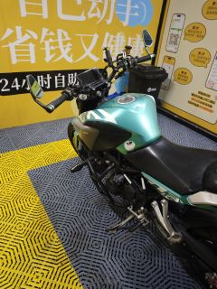 Kayo Cobra 321R 320 cc - ფოტო 1