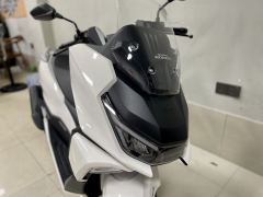 Sundiro Honda NS150GX - photo 6