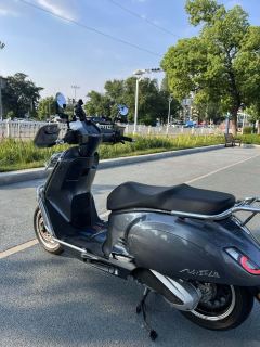 Sundiro Honda NS150LA - photo 5