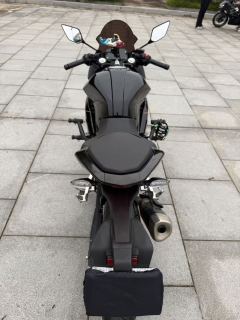 Kayo 250RR Thornbird - ფოტო 3