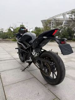 Kayo 250RR Thornbird - ფოტო 4