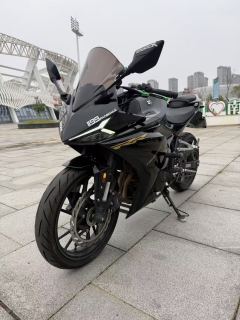 Kayo 250RR Thornbird - ფოტო 6