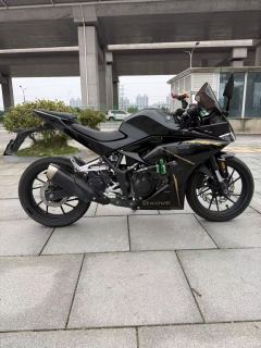 Kayo 250RR Thornbird - ფოტო 7