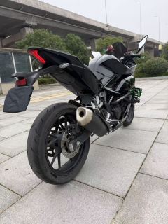 Kayo 250RR Thornbird - ფოტო 8
