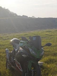 Dalishen Little Tyrant 200 cc - фото 2