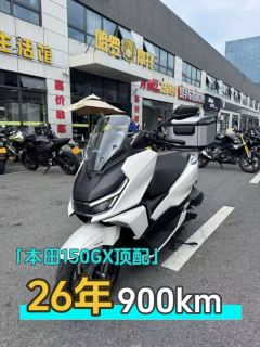 Sundiro Honda NS150GX - photo 1