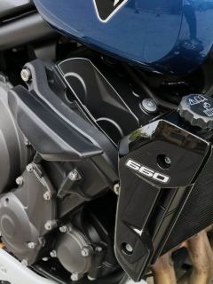 Triumph Trident 660 - ფოტო 8