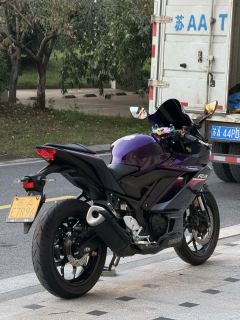 Yamaha YZF-R3 320 cc - ფოტო 7