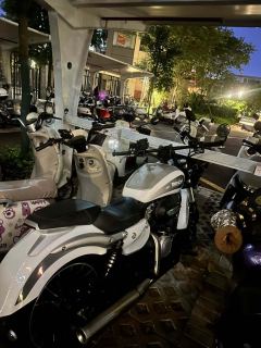 Benda Polestones 03 Gray 300 cc - ფოტო 2