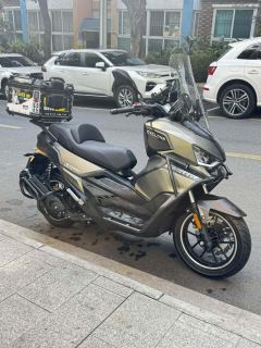Cyclone RT250 - ფოტო 1