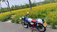 Wuyang Honda CGX150 - ფოტო 2