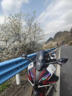 CFMOTO 450SR - ფოტო 4
