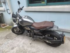 Cyclone RE600 560 cc - ფოტო 1