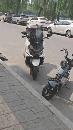 Sundiro Honda NS150GX - ფოტო 5
