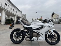 QJMOTOR SRK 250 - фото 1