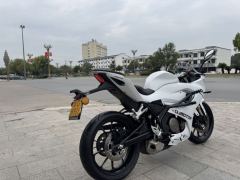 QJMOTOR SRK 250 - фото 2
