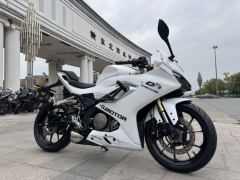 QJMOTOR SRK 250 - фото 3