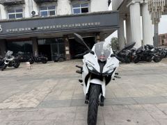 QJMOTOR SRK 250 - фото 4