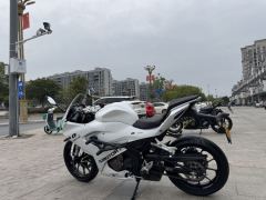 QJMOTOR SRK 250 - фото 7