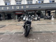 Benda Hongqi 950 - ფოტო 4