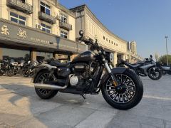 Benda Polestones 03 Gray 300 cc - photo 3