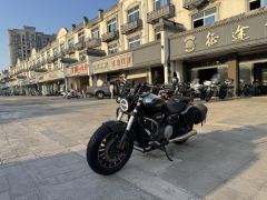 Benda Polestones 03 Gray 300 cc - photo 5