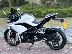 Kayo 250RR Thornbird - ფოტო 5