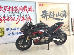QJMOTOR Sai 600 680 cc - ფოტო 2