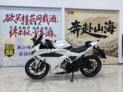 CFMOTO 250SR - ფოტო 2