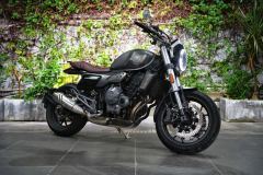 Cyclone RE600 560 cc - photo 1
