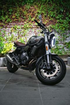 Cyclone RE600 560 cc - photo 2