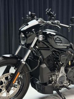 Harley-Davidson Nightster 975 cc - ფოტო 6
