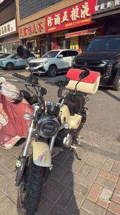 Manken Lingming 150 cc - ფოტო 2
