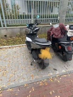 Wuyang Honda PCX 160 cc - ფოტო 3
