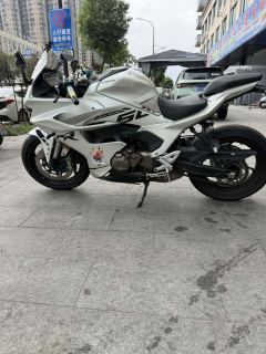 QJMOTOR Sai 550 - photo 6
