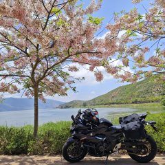 Haojue Suzuki GSX250R - ფოტო 1