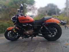 QJMOTOR 300 - ფოტო 1