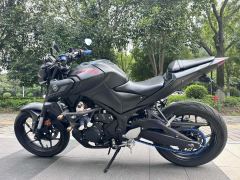 Yamaha MT-03 320 cc - photo 3
