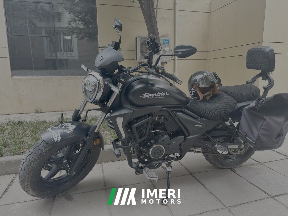 2022 Haojue TR300