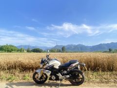 BMW G 310 R - ფოტო 2