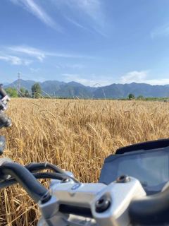 BMW G 310 R - ფოტო 3