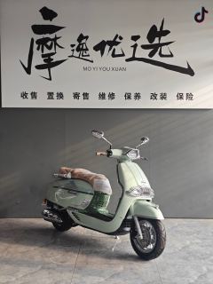 Weiduoliya Sixties 150Si - ფოტო 8