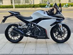 Kayo 250RR Thornbird - ფოტო 5