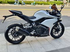 Kayo 250RR Thornbird - ფოტო 6